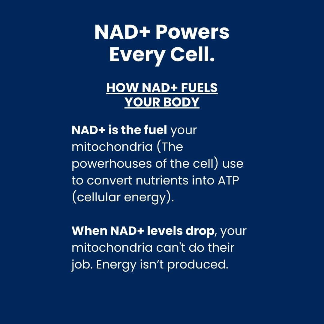 Qi NAD+