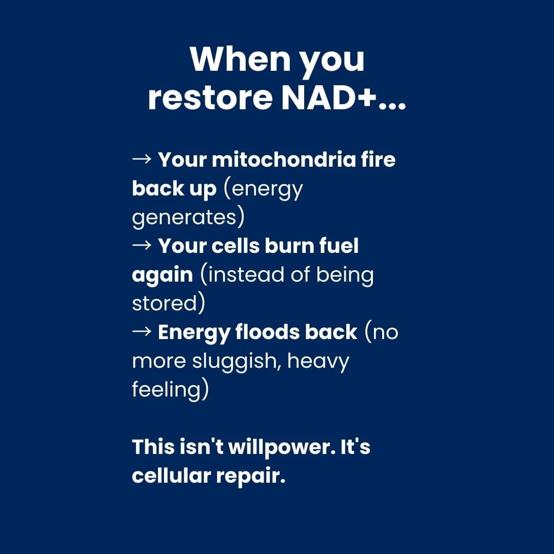 Qi NAD+